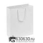 Подарочный Пакет белый 15 х 23 х 8,5 см